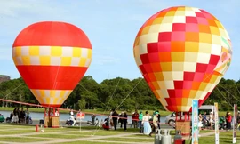 Rực rỡ khinh khí cầu ở Đà Lạt