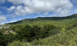 Lâm Đồng phê duyệt quy chế bảo vệ Khu dự trữ sinh quyển thế giới