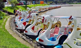 Dịch vụ đạp vịt hồ Xuân Hương hoạt động trở lại