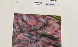 Thực phẩm không đạt được tổ bếp chụp lại.