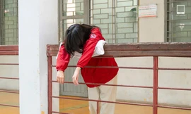 Sinh viên IT trước 'cơn bão' AI – làm chủ công nghệ hay trở thành 'người thừa'?