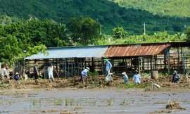 Chủ hồ chứa nước bị vỡ làm chết người ở Lâm Đồng lên tiếng