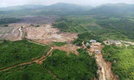 Toàn cảnh dự án Trang trại Việt Phong Phú trên núi Tân Lai.