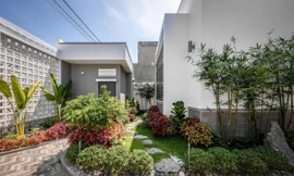 Nhà phố phân lô với nhiều khoảng xanh