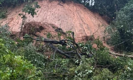 Một lượng lớn đất đá và cây xanh bị sạt lở trôi xuống mặt đường