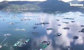 Nhân lực chất lượng cao mở lối để Khánh Hoà bứt phá