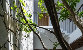 Tham quan 'tổ ấm' dành cho 3 thế hệ bên bờ sông Đuống