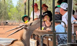 Lâm Đồng thu hút khoảng 75.000 lượt khách quốc tế.