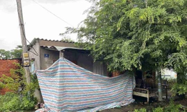 Bắt giữ nghi can sát hại cụ bà 72 tuổi