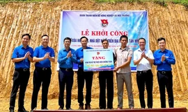 Sôi nổi chiến dịch Kỳ nghỉ hồng, Mùa hè xanh ở Tuyên Quang