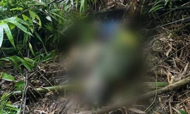 Người đàn ông chết trong rừng, cạnh dấu chân nghi là voi