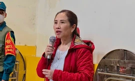 Tạm đình chỉ chức vụ hiệu trưởng Trường tiểu học Trưng Vương