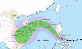 Lâm Đồng chủ động ứng phó bão số 12
