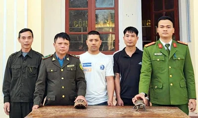 Bắt được 2 cá thể rùa hộp trán vàng quý hiếm tại vườn nhà dân
