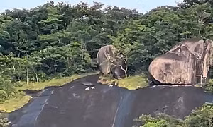 CLIP: Xôn xao 4 con vật lạ trắng như tuyết trên đỉnh Ma Thiên Lãnh