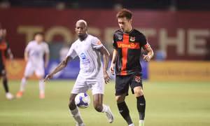 Nhận định bóng đá Hải Phòng vs Ninh Bình, 18h00 ngày 28/9: Chủ nhà khó 'nuốt'