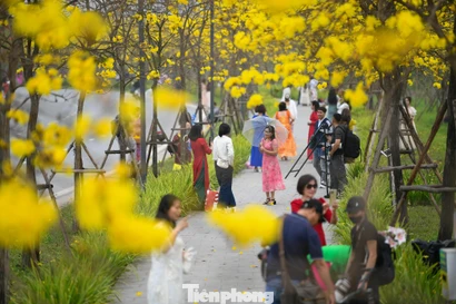 Đổ xô check-in đường hoa phong linh rực rỡ nhất Thủ đô