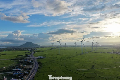 Đẹp lịm tim hoàng hôn ở cánh đồng điện gió 