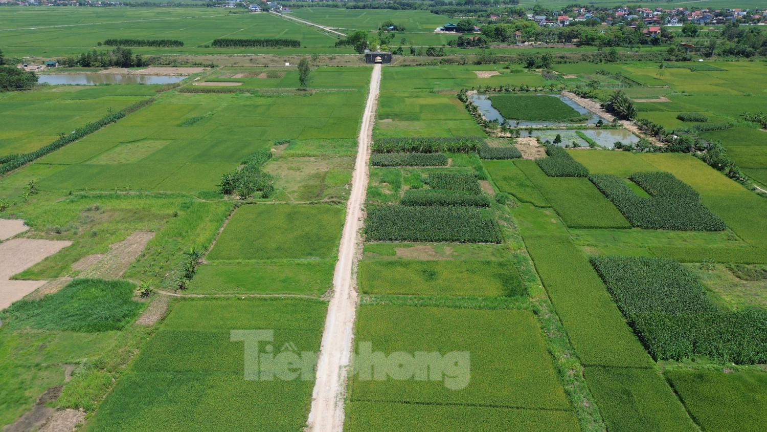 Lo khó GPMB vì giá đất nông nghiệp dự kiến cao nhất 290.000 đồng/m2