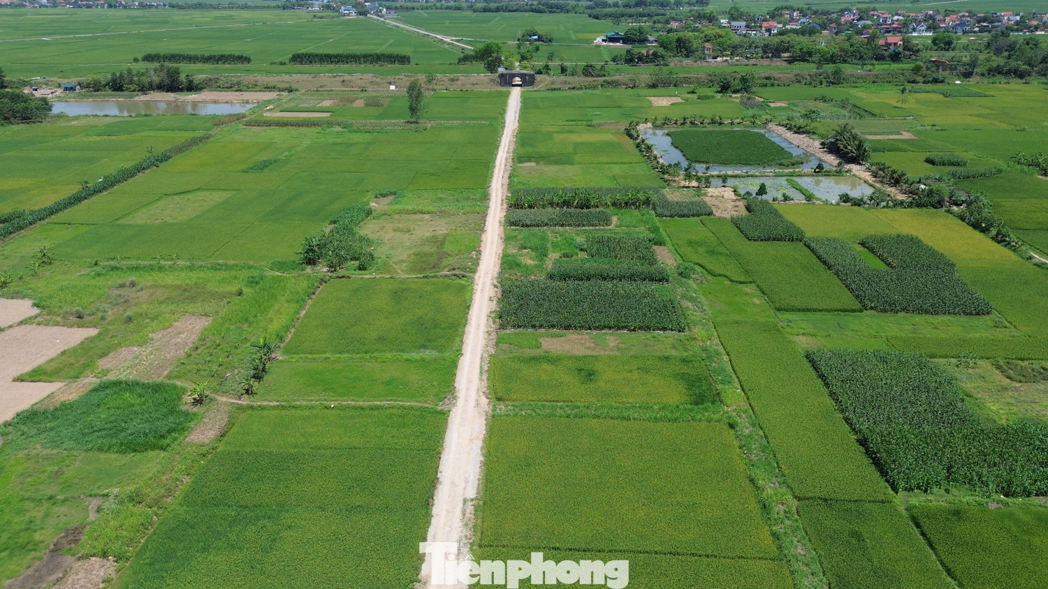 Hà Nội: Cử tri kiến nghị 'nới' quy định về tách thửa