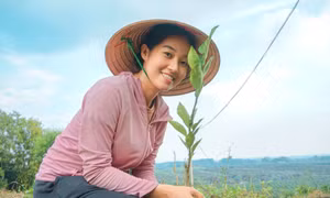 Nữ cử nhân về quê làm giàu từ mô hình nông nghiệp sạch