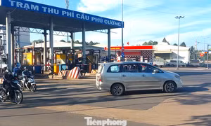 [VIDEO] Bất chấp biển cấm, ô tô nối đuôi tạt qua trạm thu phí ở TPHCM