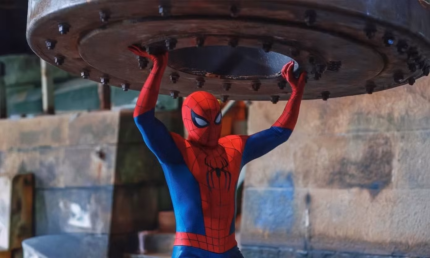 spider11.jpg