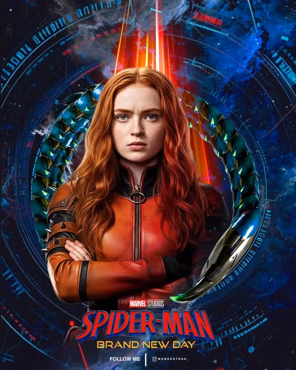 spider15a.jpg