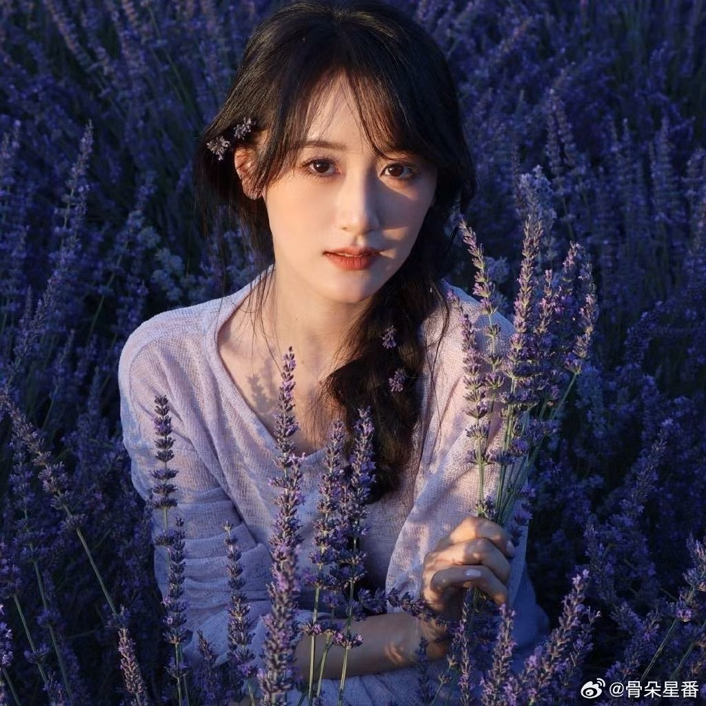 vien-bang-nghien.jpg