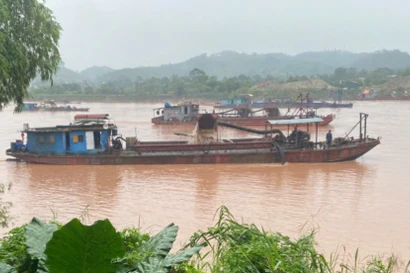 Tàu hút cát không số, không phao hoạt động rầm rộ trên sông Hồng qua Lào Cai 