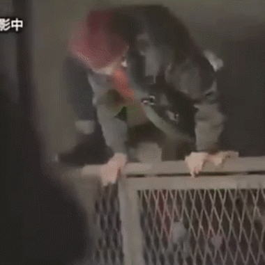 Người khác nhảy qua rào ngon ơ, sao đến Jimin thì mắc lại?