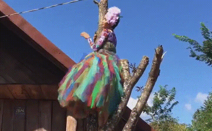 Giữa núi rừng Tây Nguyên hùng vĩ, hình ảnh cô Hoa hậu không ngại nắng gió trèo lên ngọn cây cao với trang phục cồng kềnh khiến nhiều người không khỏi ngưỡng mộ.