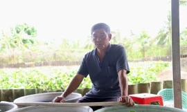 Người nông dân ở Cần Thơ nuôi con gì mà trở thành xuất sắc nhất Việt Nam? 