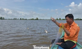 Trắng đêm săn ‘lộc trời’ mùa nước nổi