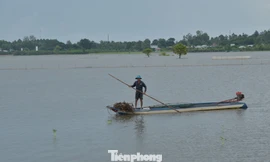 Đồng bằng sông Cửu Long trước câu hỏi: Ở lại hay di cư?