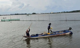 Cảnh mưu sinh nơi đầu nguồn lũ miền Tây