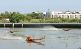 Kịch tính đua vỏ lãi đón năm mới tại Cần Thơ