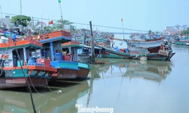 Vĩnh Long cao điểm tuần tra, xử lý tàu cá ‘3 không’