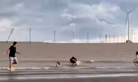 Loạt cột điện gió trên biển Vĩnh Long gãy đổ