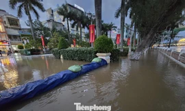 Nâng nền cho Bến Ninh Kiều để hết ngập