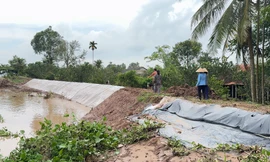 Triều cường, sạt lở gây thiệt hại nhiều nơi ở Vĩnh Long