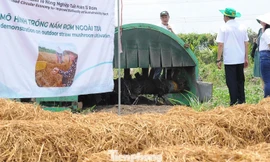 Xử lý rơm rạ sau thu hoạch để giảm ô nhiễm, phát triển nông nghiệp xanh