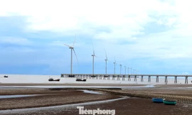 Điều gì đang cản trở thủ phủ điện gió? 