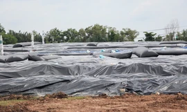 Vĩnh Long nghiên cứu di dời dân khu vực gần bãi rác An Hiệp