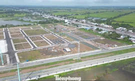 Quỹ đất sạch cho công nghiệp ở Cần Thơ ít, ảnh hưởng thu hút đầu tư