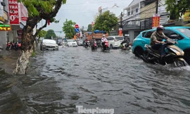 Một thành phố của Nhật Bản hỗ trợ Cần Thơ chống ngập