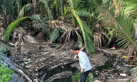 Nước rỉ rác chảy ra bên ngoài.