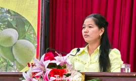 Nông dân trăn trở điệp khúc 'được mùa mất giá, được giá mất mùa'