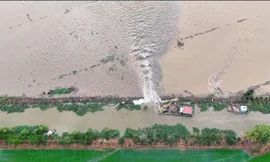 Vỡ đê bao ở Đồng Tháp nhấn chìm hàng trăm ha lúa
