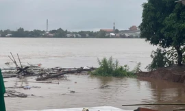 Tiếp tục sạt lở bờ sông Tiền, kéo sập 4 căn nhà